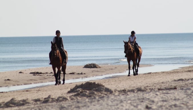 Reiten und Stricken auf Rømø
