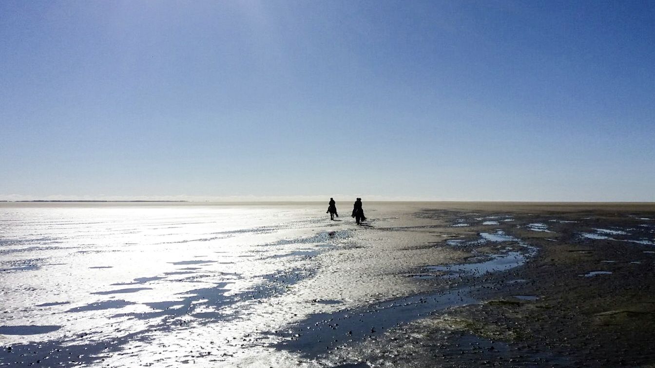Mandø-Rømø Kombi-Tour