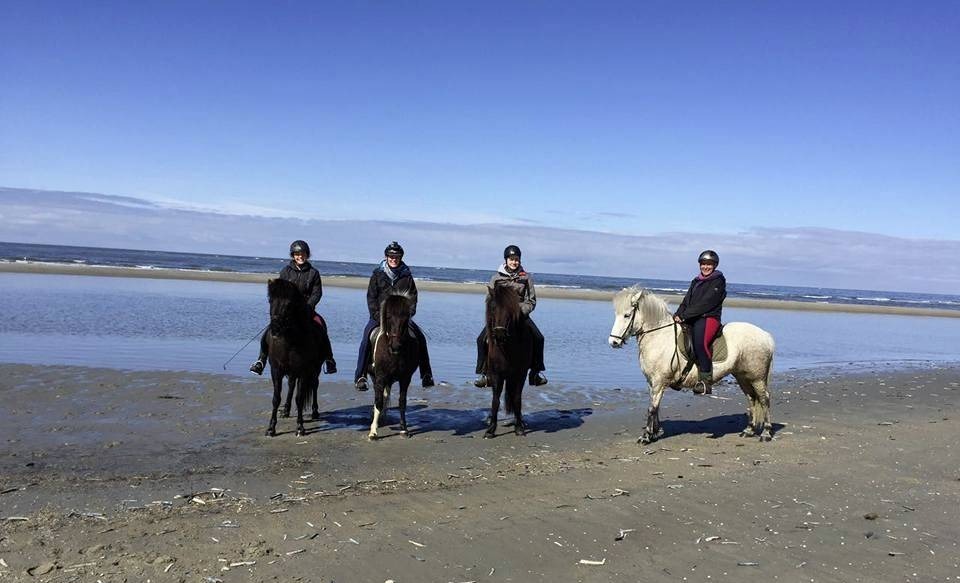 Verlängertes Reiterwochenende